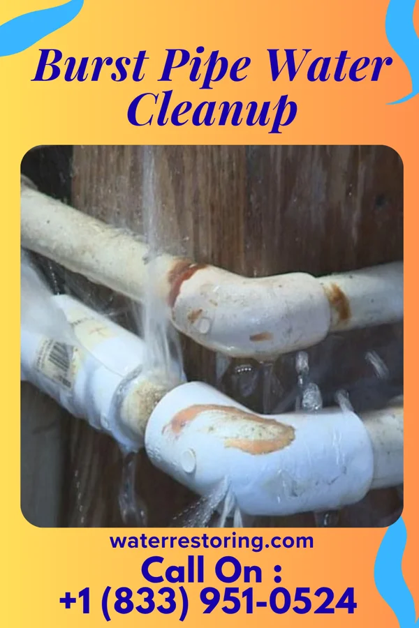 Burst Pipe Water Cleanup in Granite Falls, WA