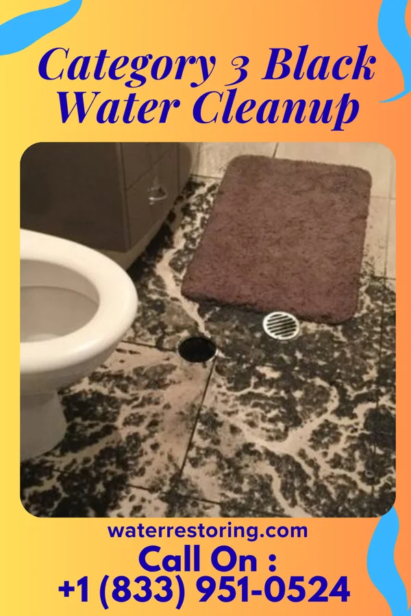 Category 3 Black Water Cleanup in Granite Falls, WA