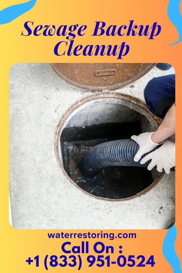 Sewage Backup Cleanup in Granite Falls, WA